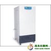 人工气候箱（智能型）-普通型RQX-300B