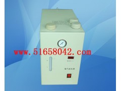 碱液电解制氢机 SK-SHC-300