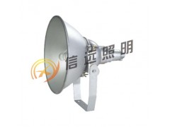 NTC9210防震型投光灯