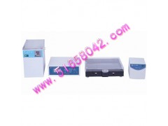 脉冲电泳系统 L1AD-WD-2101A
