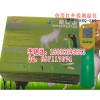 兽用红外线测温仪，猪用红外线测温仪