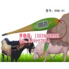 兽用电子体温计，兽用电子体温计价格