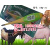 兽用电子体温计，兽用电子体温计价格，HRQ-A1