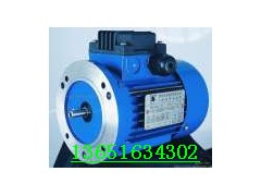 YS5614电机,0.06KW紫光电机