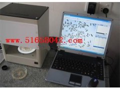 大米数粒分析仪/大米数粒仪 HAD-SC