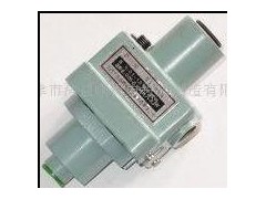 DP-40 (A)B压力继电器