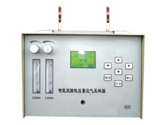 双路空气采样器 YTY-TWA-300N