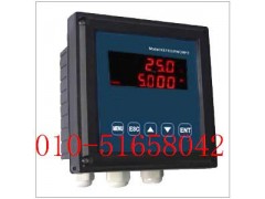 在线式电导率计  型号：WKY1-1202