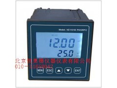 在线PH仪  型号：WKY1-1101B