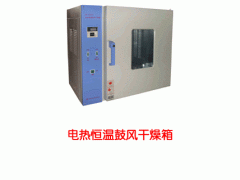 OY-GZX101 电热恒温鼓风干燥箱