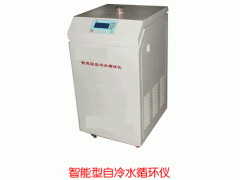 智能型自冷水循環(huán)儀   CS-OY-ZLY20