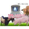 宠物医院B超机，宠物B超机价格多少钱
