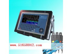 便携式多能电能表现场校验仪  ZY-DM212型