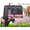 猪用B超机，猪用B超机多少钱