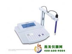 微機(jī)型電導(dǎo)率儀 DDS-12DW