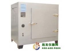 电热恒温鼓风干燥箱高温烘箱 DHG-9143BS-Ⅲ
