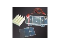多能水平電泳槽(模具成型） 　JXH-DY-31D