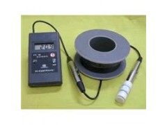 手持便携式测氧仪/船舱测氧仪/测氧仪 LH-CY-30