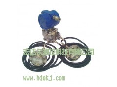 遠傳壓力變送器，差壓變送器，變送器廠家