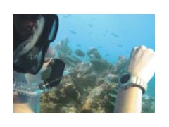 腕式个人剂量计/手腕式γ辐射仪 BE-PM1208