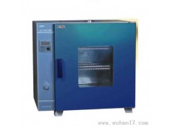 远红外快速干燥箱 快速干燥箱  YHG400-BS-II