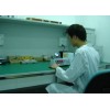 ST2028 橋頭量具檢測(cè)校準(zhǔn)