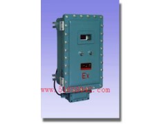 隔型（热磁式）氧分析器 BH-5101A Ex