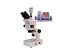 电脑型连续变倍体视显微镜/体视显微镜