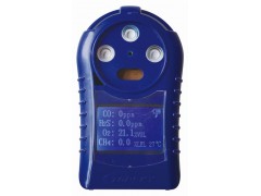 多参数气体测定器 LTS1-CD4