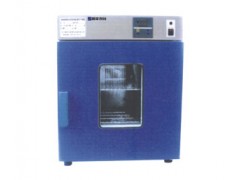 电热鼓风干燥箱    XPL101A-3
