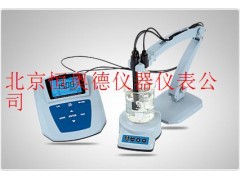 氟离子浓度计/氟离子检测仪/  SX1-MP523-04