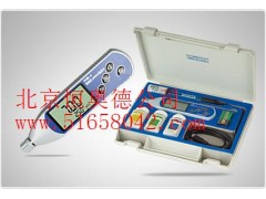 便携式pH计/便携式pH仪/PH计 SX1-PHB-4