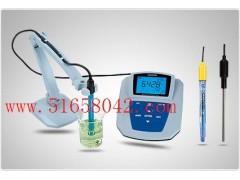 pH计/PH仪  SX1--01