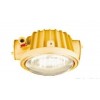 GCD5010隔爆型防爆灯 GCD5010-L100
