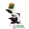 一体化数码液晶生物显微镜DMS-654