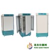 人工气候培养箱RGX-350B