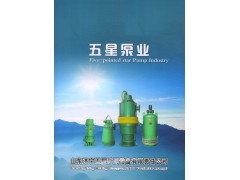 矿用潜水泵型号大全BQS排沙泵规格山东矿用防爆潜水泵