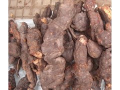 大黄素Emodin 找专业植提生产厂商 宝鸡浩翔生物