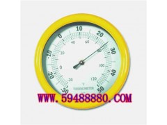 DJQ-T9225P大面板塑料温度计