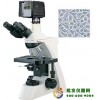 数码型生物显微镜XSP-13CD
