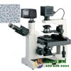 数码型生物显微镜XSP-16CD / XSP-16CC