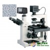 数码型倒置显微镜XDS-300D