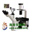倒置物显微镜XDS-330D