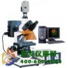 正置荧光显微镜DFM-40C