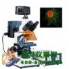 正置荧光显微镜DFM-40D