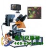 正置荧光显微镜DFM-50D
