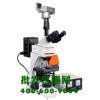 正置荧光显微镜DFM-55D
