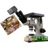 电脑型双目倒置式金相显微镜4XBD