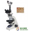 三目透射偏光显微镜XP-650D