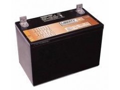 轉銷】昆明大力神蓄電池